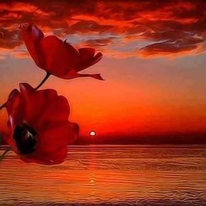 Meet your Posher, Diane